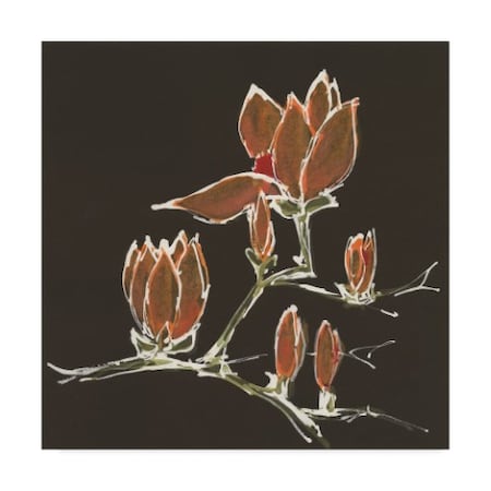 Chris Paschke 'Magnolia On Black Iv' Canvas Art,35x35